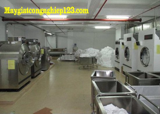 Lắp đặt máy giặt công nghiệp khách sạn Mường Thanh